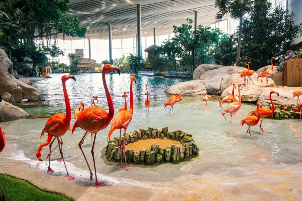 SeaWorld Abu Dhabi
