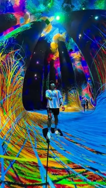 teamLab Phenomena